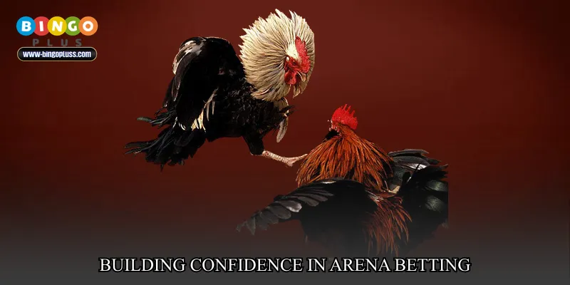 Building Confidence in Arena Betting